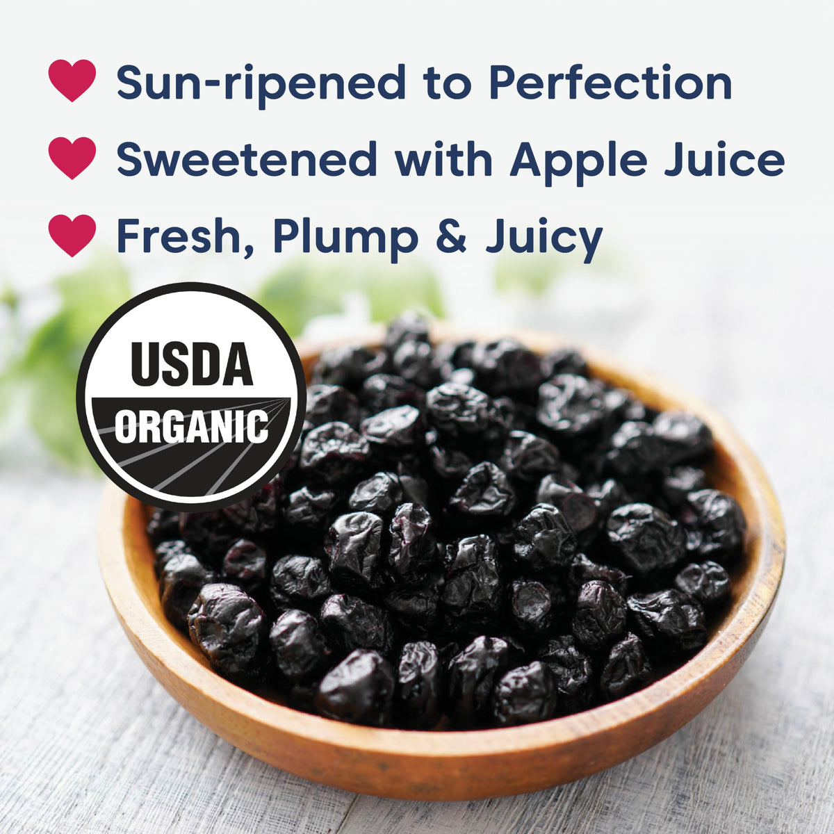 Organic Whole Dried Blueberries