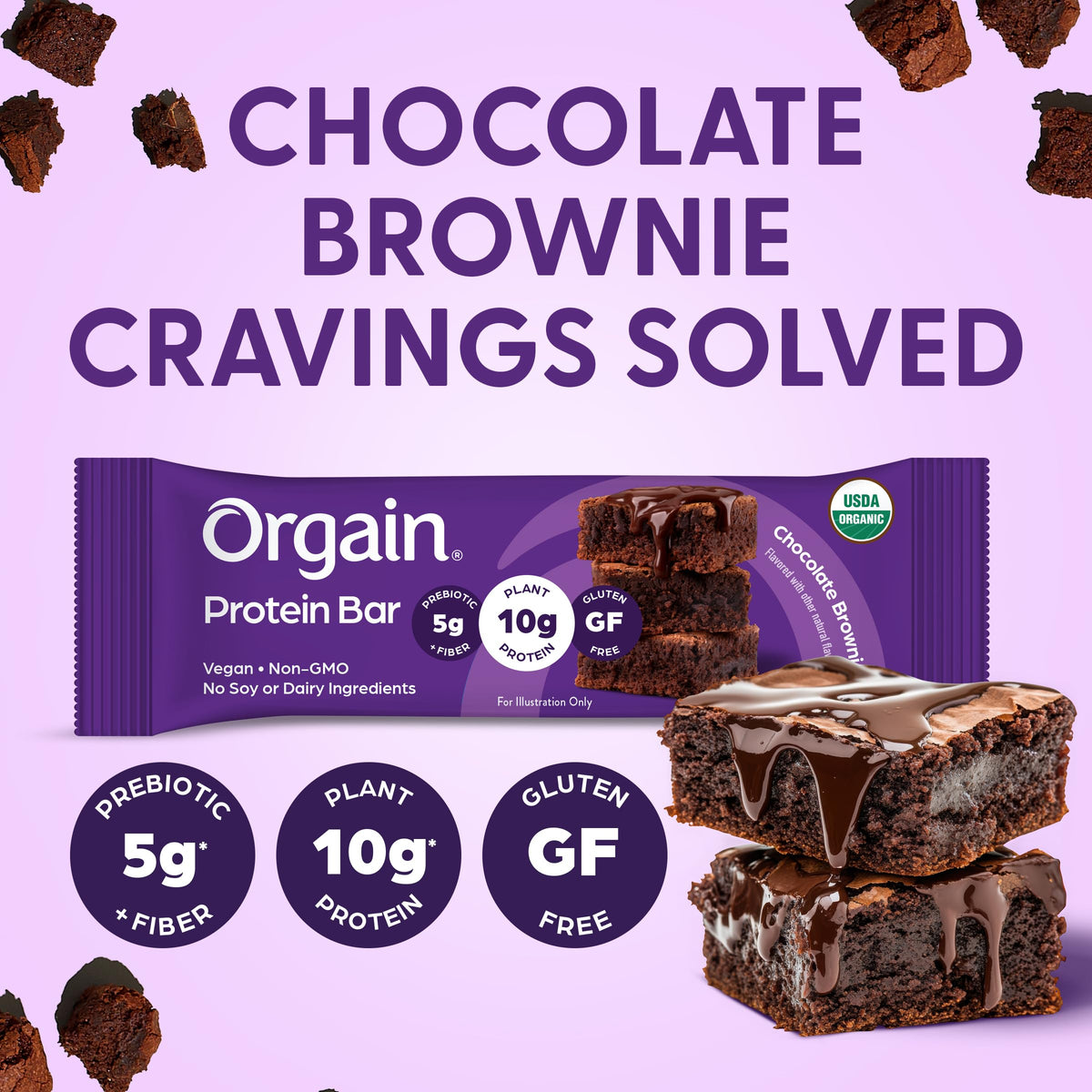 Chocolate Brownie Plant Protein Bars – 10g Protein, 72 Pack