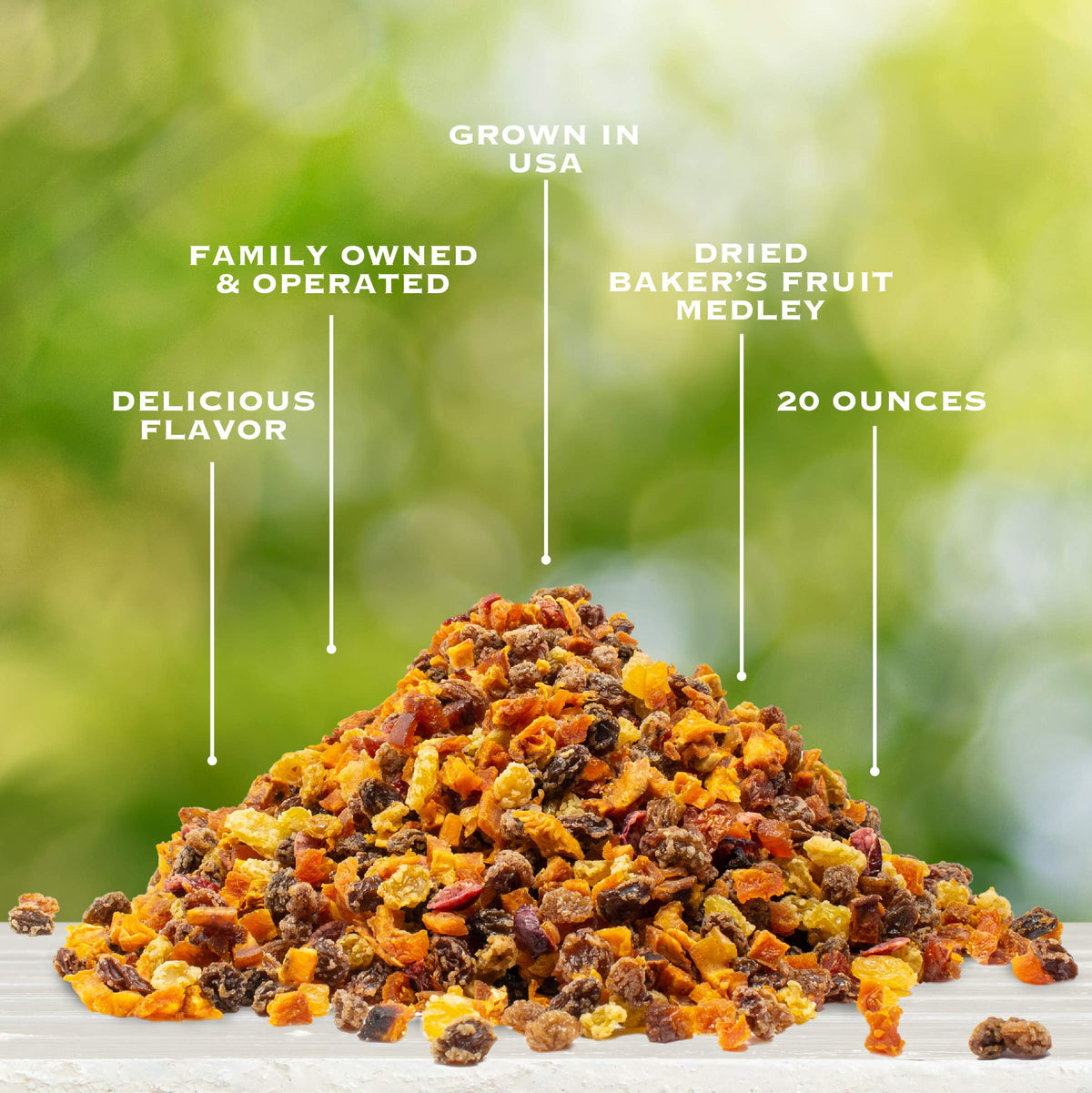 Sun-Dried Fruit – No Sugar Added, 20 oz
